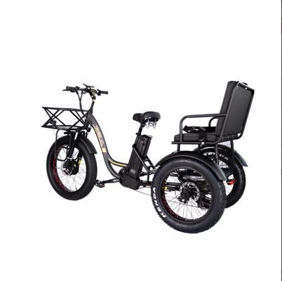 48V E Trike 3 ruedas 750 Watt de grasa de neumáticos Rickshaw con Bafang 750W motor y rendimiento