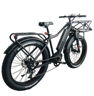 Mercado de EE.UU. EN15194 CPSC 48V 1000W 17AH Bicicleta eléctrica de montaña con motor medio Bafang