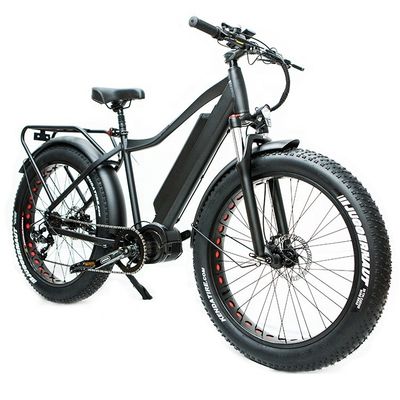 Mercado de EE.UU. EN15194 CPSC 48V 1000W 17AH Bicicleta eléctrica de montaña con motor medio Bafang