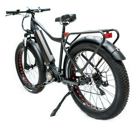 Mercado de EE.UU. EN15194 CPSC 48V 1000W 17AH Bicicleta eléctrica de montaña con motor medio Bafang