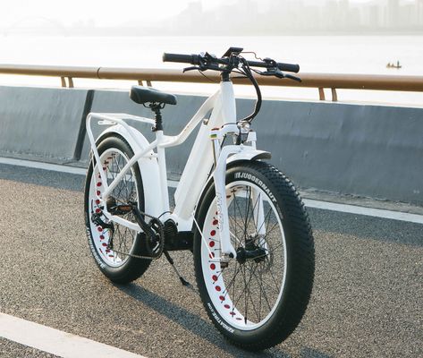 Mercado de EE.UU. EN15194 CPSC 48V 1000W 17AH Bicicleta eléctrica de montaña con motor medio Bafang