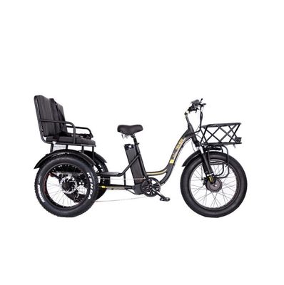 16.7 Ah Capacidad de la batería 750 WAT RICKSHAW DE DEBE pesado triciclo eléctrico para pasajeros