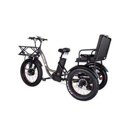 16.7 Ah Capacidad de la batería 750 WAT RICKSHAW DE DEBE pesado triciclo eléctrico para pasajeros