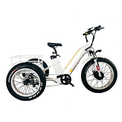 48V 14AH Cestión trasera 4.0 neumático de nieve Triciclo eléctrico de carga con certificación CE de EE.UU.