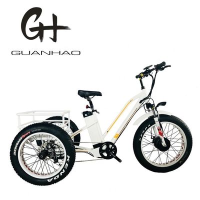 48V 14AH Cestión trasera 4.0 neumático de nieve Triciclo eléctrico de carga con certificación CE de EE.UU.