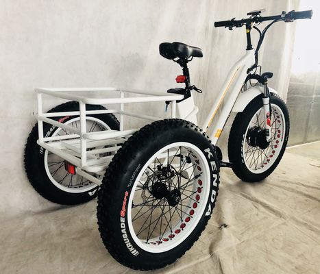 48V 14AH Cestión trasera 4.0 neumático de nieve Triciclo eléctrico de carga con certificación CE de EE.UU.