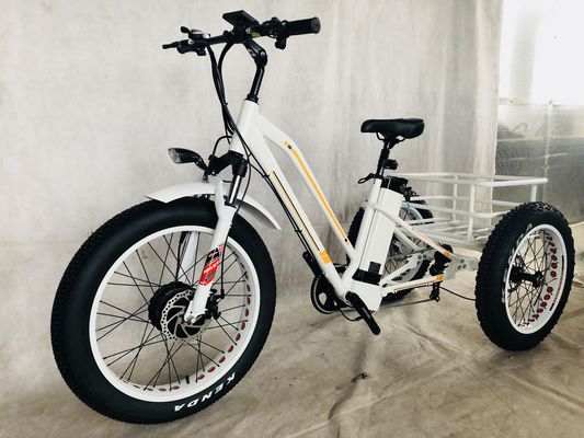 48V 14AH Cestión trasera 4.0 neumático de nieve Triciclo eléctrico de carga con certificación CE de EE.UU.