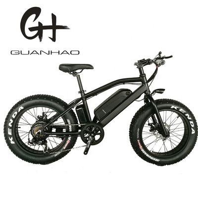 20 &quot; Aluminio de aleación de marco Boy Mini 48V 4.0 EE.UU. CE 750W Niño bicicleta eléctrica de montaña
