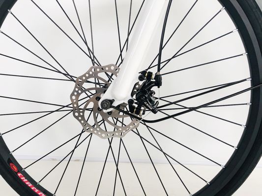 Bicicleta de 28 pulgadas 36V250W Batería de litio 14AH EN15194 EN15194 para mujeres Lady USA Europa