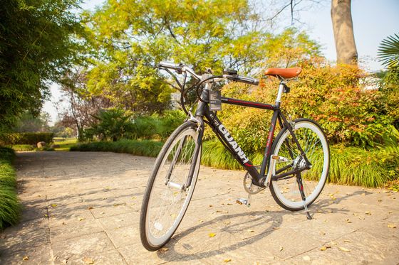 Bicicleta eléctrica de aluminio de 700C CE EN15194 Certificado 36V 350W Motor 10.8AH Batería de litio oculta