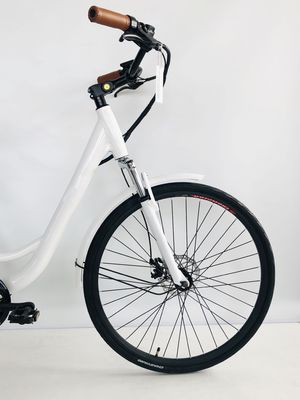 EE.UU. USD390 500W 48V 14AH Bicicleta de dama eléctrica con 7 marchas de velocidad y pantalla LCD