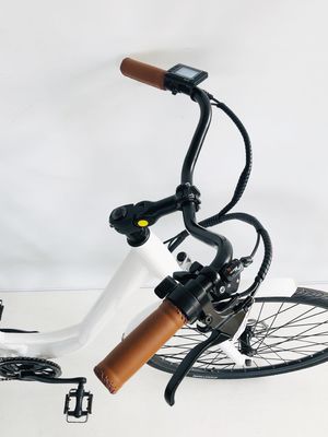 EE.UU. USD390 500W 48V 14AH Bicicleta de dama eléctrica con 7 marchas de velocidad y pantalla LCD