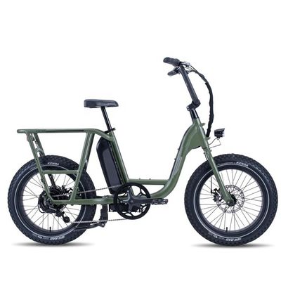Bicicleta de carga híbrida eléctrica de 48V 1000W 32MPH con neumático gordo de 20&quot;4.0 y par de 80-90 Nm