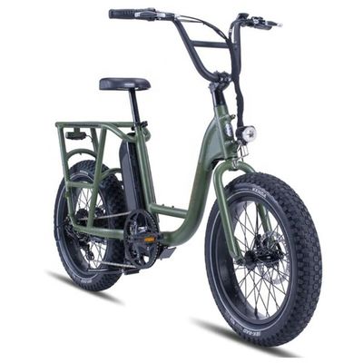 Bicicleta de carga híbrida eléctrica de 48V 1000W 32MPH con neumático gordo de 20&quot;4.0 y par de 80-90 Nm