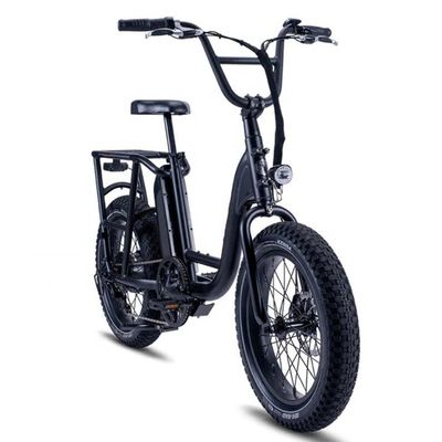 Bicicleta de carga híbrida eléctrica de 48V 1000W 32MPH con neumático gordo de 20&quot;4.0 y par de 80-90 Nm