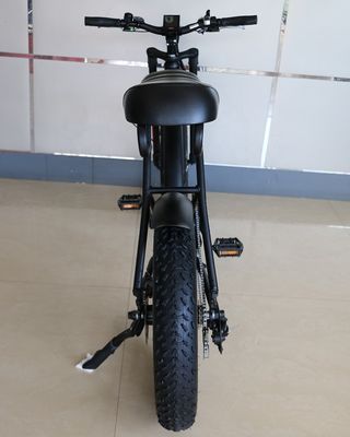 20&quot;*4.0 Bicicleta de montaña eléctrica 48V1000W 17AH Litio Gran neumático Bicicleta de nieve Velocidad 50KM/H