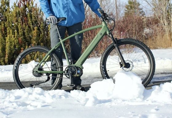 36V 350W EN15194 2007 Bicicleta eléctrica de velocidad única con batería de litio de 10,41AH y PAS