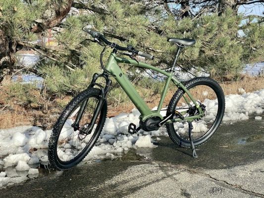 36V 350W EN15194 2007 Bicicleta eléctrica de velocidad única con batería de litio de 10,41AH y PAS