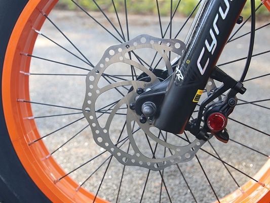 1000W 14AH Cuadro de suspensión completa 20&quot;x4.0 Gran neumático de grasa Gran neumático de nieve plano Ebike de freno de disco