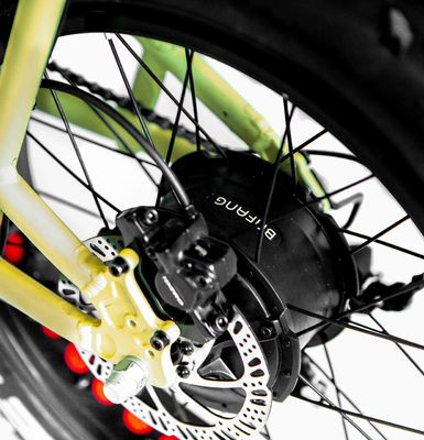 Cuadro de aleación de aluminio 48V34AH 1000W Fat Tire Ebike con dos baterías y dos cestas