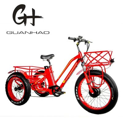 48V 750W Motor delantero 24 &quot;Triciclo eléctrico para adultos con batería de litio de 17AH y neumáticos de nieve gordos