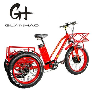 48V 750W Motor delantero 24 &quot;Triciclo eléctrico para adultos con batería de litio de 17AH y neumáticos de nieve gordos