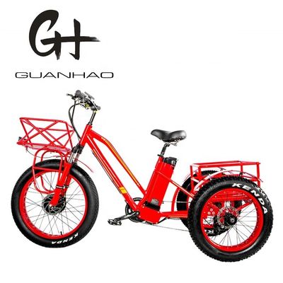 48V 750W Motor delantero 24 &quot;Triciclo eléctrico para adultos con batería de litio de 17AH y neumáticos de nieve gordos