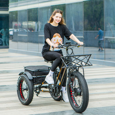 48V 750W Motor delantero 24 &quot;Triciclo eléctrico para adultos con batería de litio de 17AH y neumáticos de nieve gordos