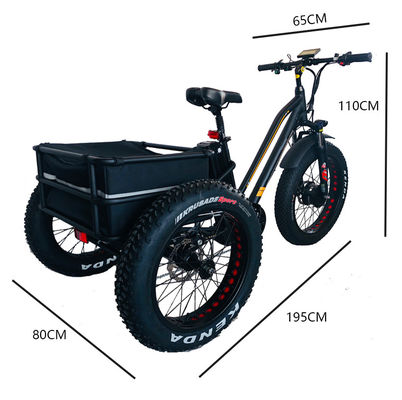 48V 750W Motor delantero 24 &quot;Triciclo eléctrico para adultos con batería de litio de 17AH y neumáticos de nieve gordos