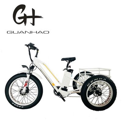 Tipo de cuerpo abierto 24 pulgadas 20 pulgadas BAFANG Motor delantero Triciclo eléctrico para adultos 48V21AH 750W