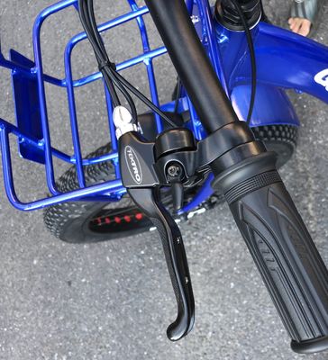 Conducción Tipo eléctrico 24&quot;x4.0 neumático de grasa Triciclo eléctrico de carga con motor de 48V 1000w