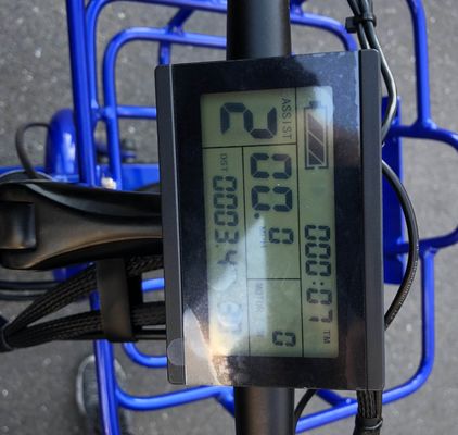 Conducción Tipo eléctrico 24&quot;x4.0 neumático de grasa Triciclo eléctrico de carga con motor de 48V 1000w