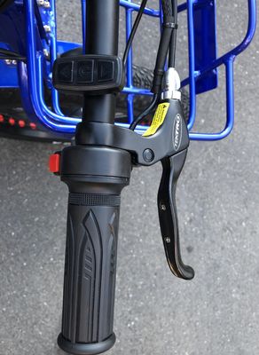 Conducción Tipo eléctrico 24&quot;x4.0 neumático de grasa Triciclo eléctrico de carga con motor de 48V 1000w