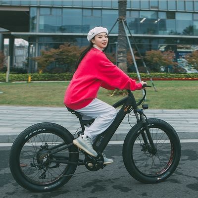 750W Bafang Motor Electric Mountain Bike con Shimanu 7 velocidades y neumáticos C 3.0
