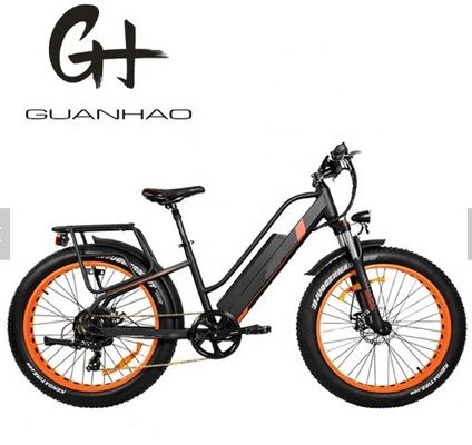 750W 50KM/H A2B CE OEM chino 48V Motor neumático de grasa bicicleta eléctrica de montaña buena agradable
