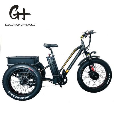 EE.UU. 24&quot;20&quot; Bafang motorizado 8fun 750W 48V 17a Adulto 3 ruedas Cargo Ebike Triciclo eléctrico