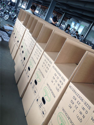 Bicicleta eléctrica plegable para Israel Bicicleta verde 350W Rueda magnética 36V Voltagem 7 velocidades