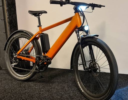 1000W 48V 14AH batería oculta oculta E-MTB pantalla LCD bicicleta de montaña eléctrica para su