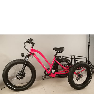 Bicicleta eléctrica de carga para adultos de 3 ruedas de 500W con borde de aluminio graso y certificado EN71