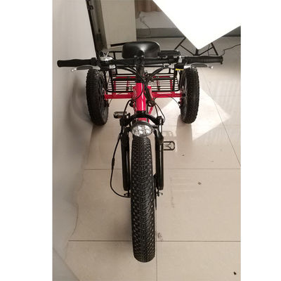 Bicicleta eléctrica de carga para adultos de 3 ruedas de 500W con borde de aluminio graso y certificado EN71