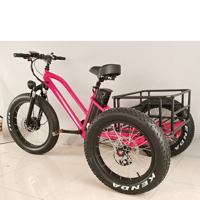Bicicleta eléctrica de carga para adultos de 3 ruedas de 500W con borde de aluminio graso y certificado EN71