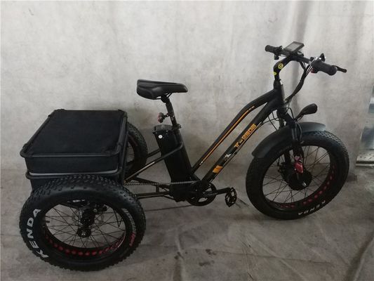 Navegue sin esfuerzo por la ciudad en nuestra bicicleta eléctrica de tres ruedas de 350W para ciclistas mayores