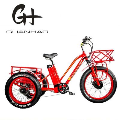 Tipo de cuerpo abierto 24 pulgadas 20 pulgadas BAFANG Motor delantero Triciclo eléctrico para adultos 48V21AH 750W