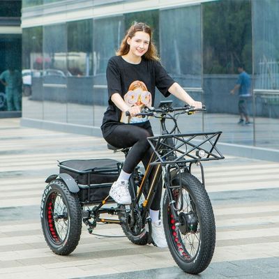 750W Motor delantero 4.0 neumático nieve EN15194 Cargo Triciclo eléctrico de carga con freno de disco
