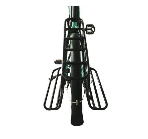 20 &quot;marco de aleación de magnesio Ananda Bafang MID Drive bicicleta eléctrica para la familia o la entrega de carga