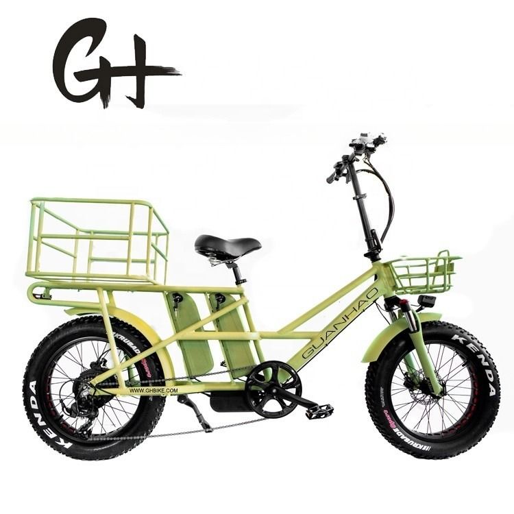 Freno de disco de 48V Baterías dobles Nieve grasa Gran neumático Carga eléctrica Bicicletas para familia 2