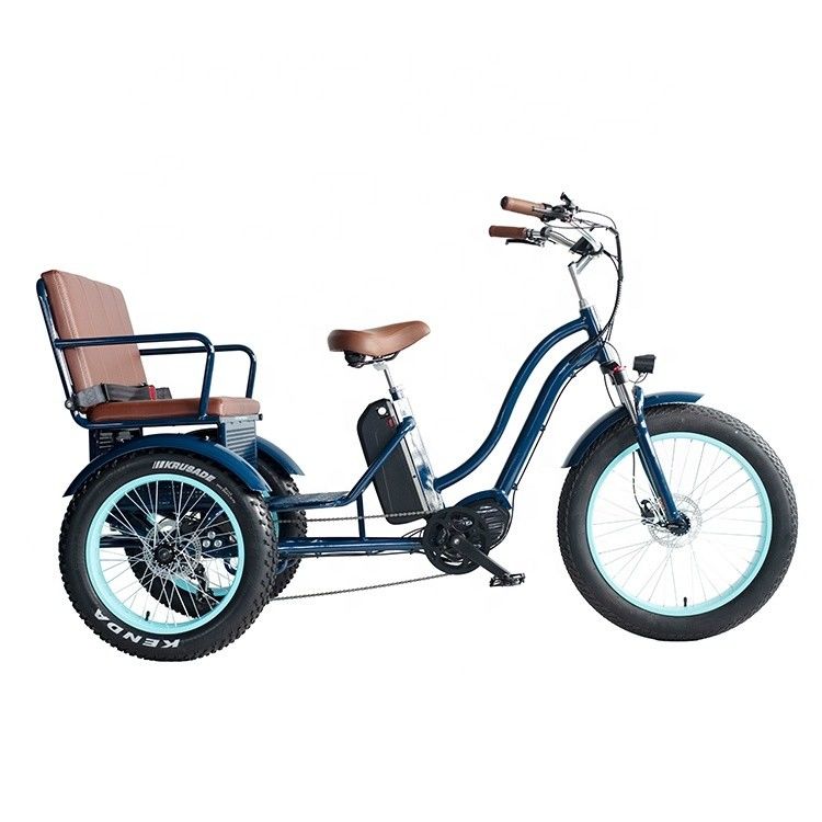 Rickshaw eléctrico con batería de litio de 48V 750W 17AH y neumático de grasa grande