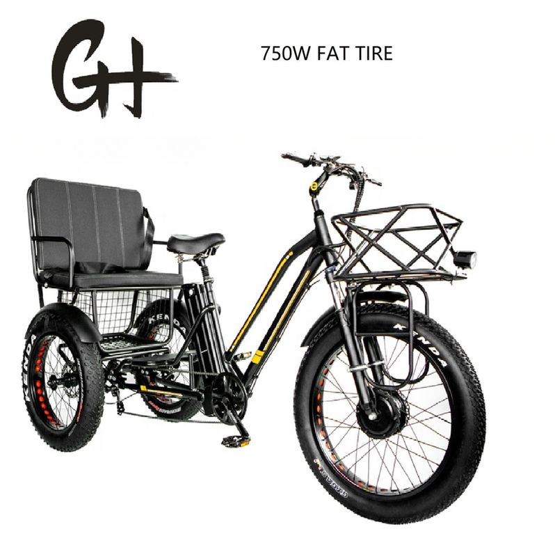 Bafang 750W Motor Triciclo eléctrico con neumático de grasa E Tres ruedas y asiento de pasajero