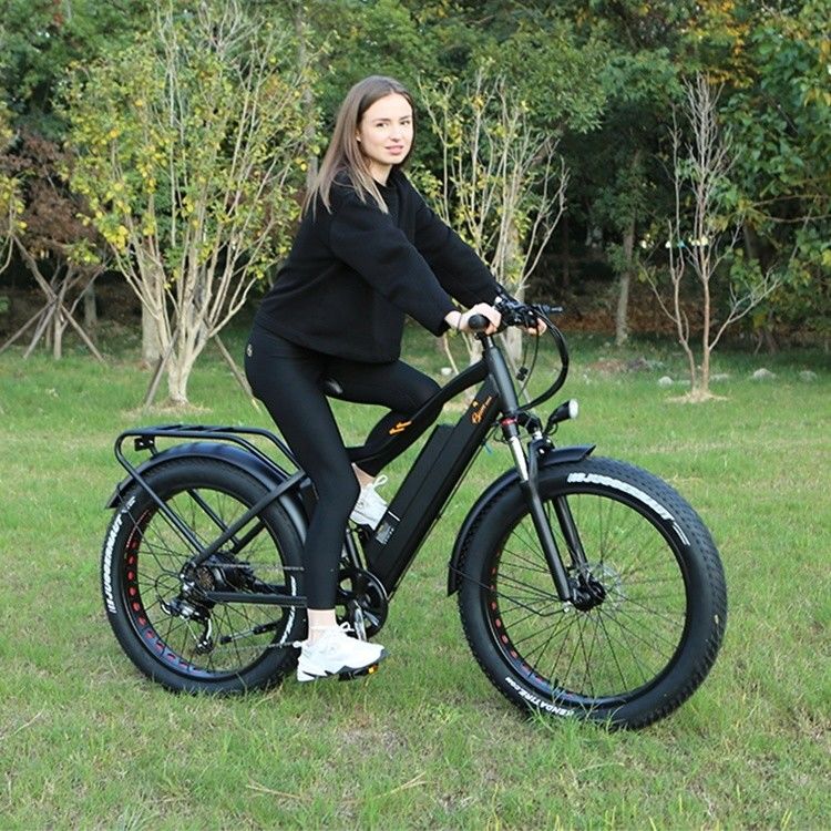 48V 1000W 17AH Batería de litio OEM EN15194 CE Bicicleta de montaña de neumáticos de grasa eléctrica MTB personalizada