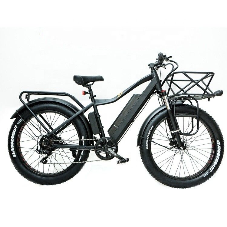 Motor Bafang de 52V 1000W 17AH Litio 55KM/H Centro trasero Neve neumático graso bicicleta eléctrica de montaña